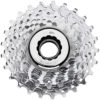 Campagnolo Veloce Cassette 10-speed