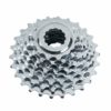 campagnolo 8 speed cassette