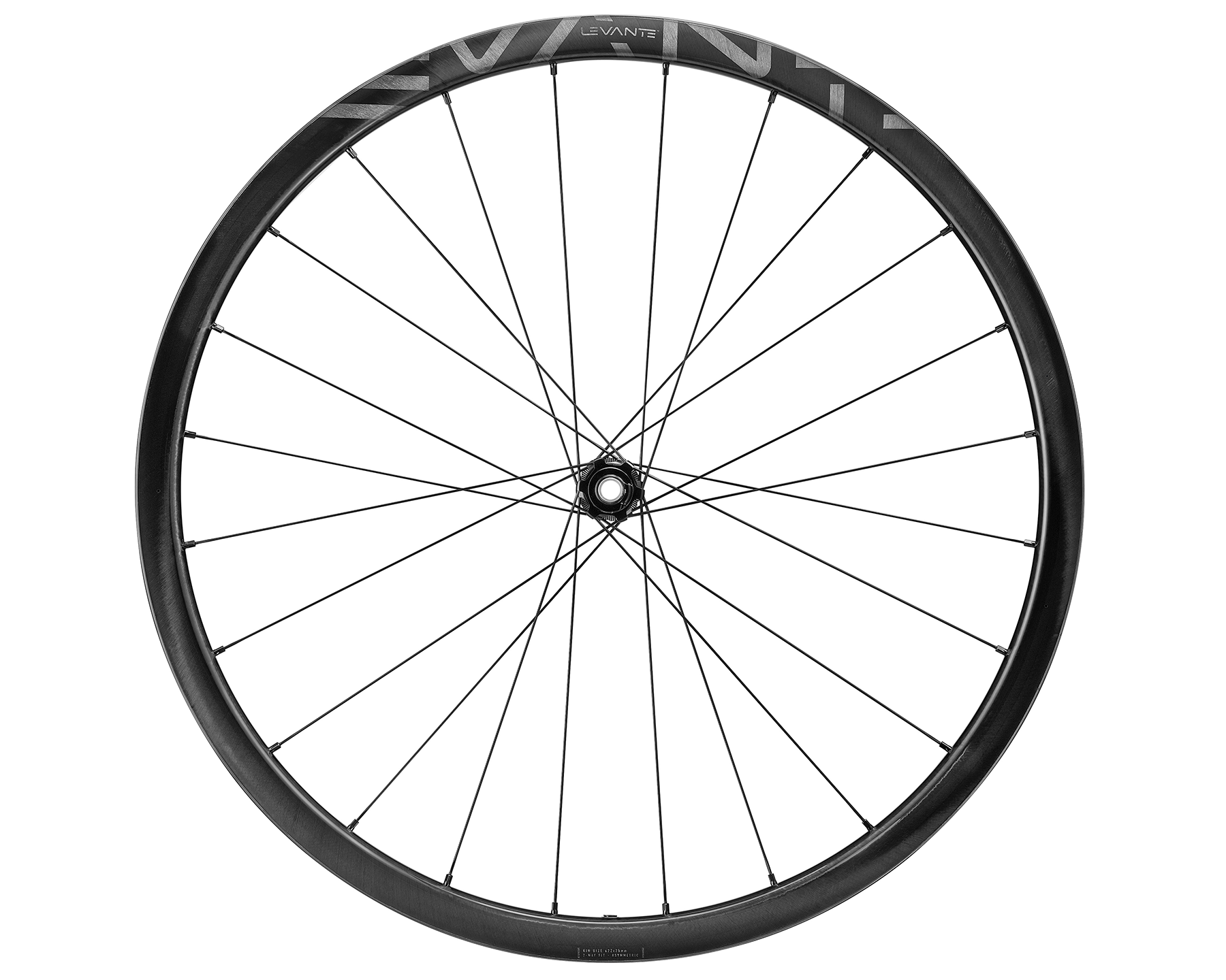Campagnolo Levante wheelset